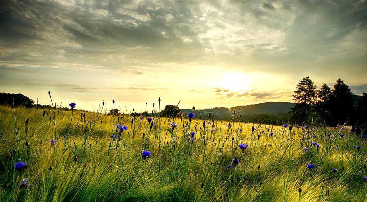 Wohlfuehlherberge Weitblick Erlbach  Ngoại thất bức ảnh